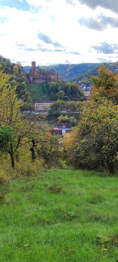 Fewo Traumblick Kreuzwertheim Экстерьер фото